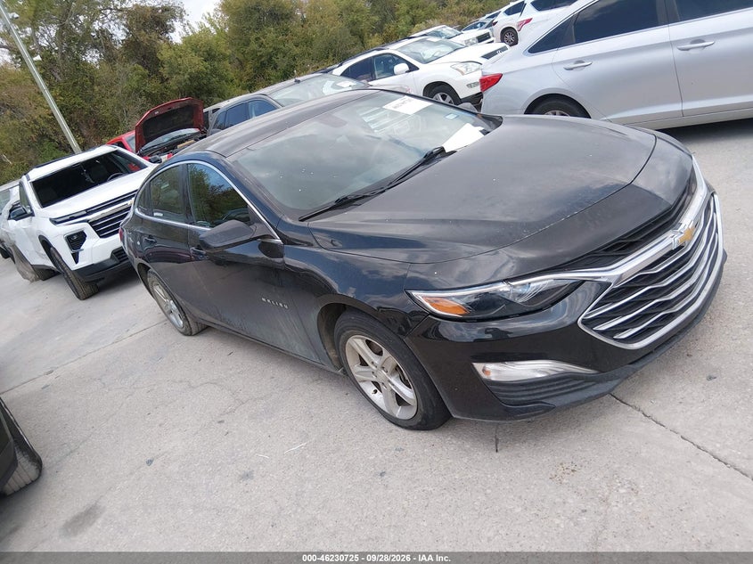 2019 CHEVROLET MALIBU 1FL | 1G1ZC5ST8KF183420 | UPCARS