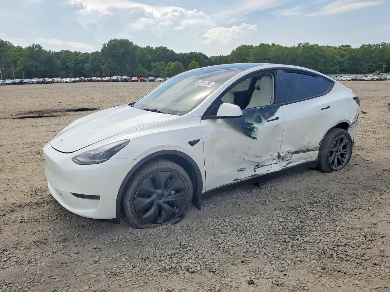2025 TESLA MODEL Y | 7SAYGDEDXSA375092 | UPCARS