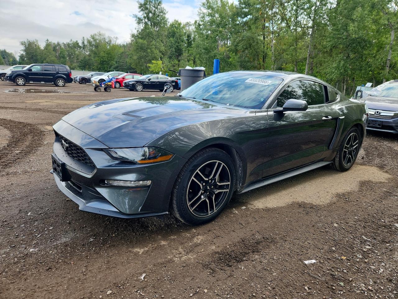 2020 FORD MUSTANG | 1FA6P8TH7L5103290 | UPCARS