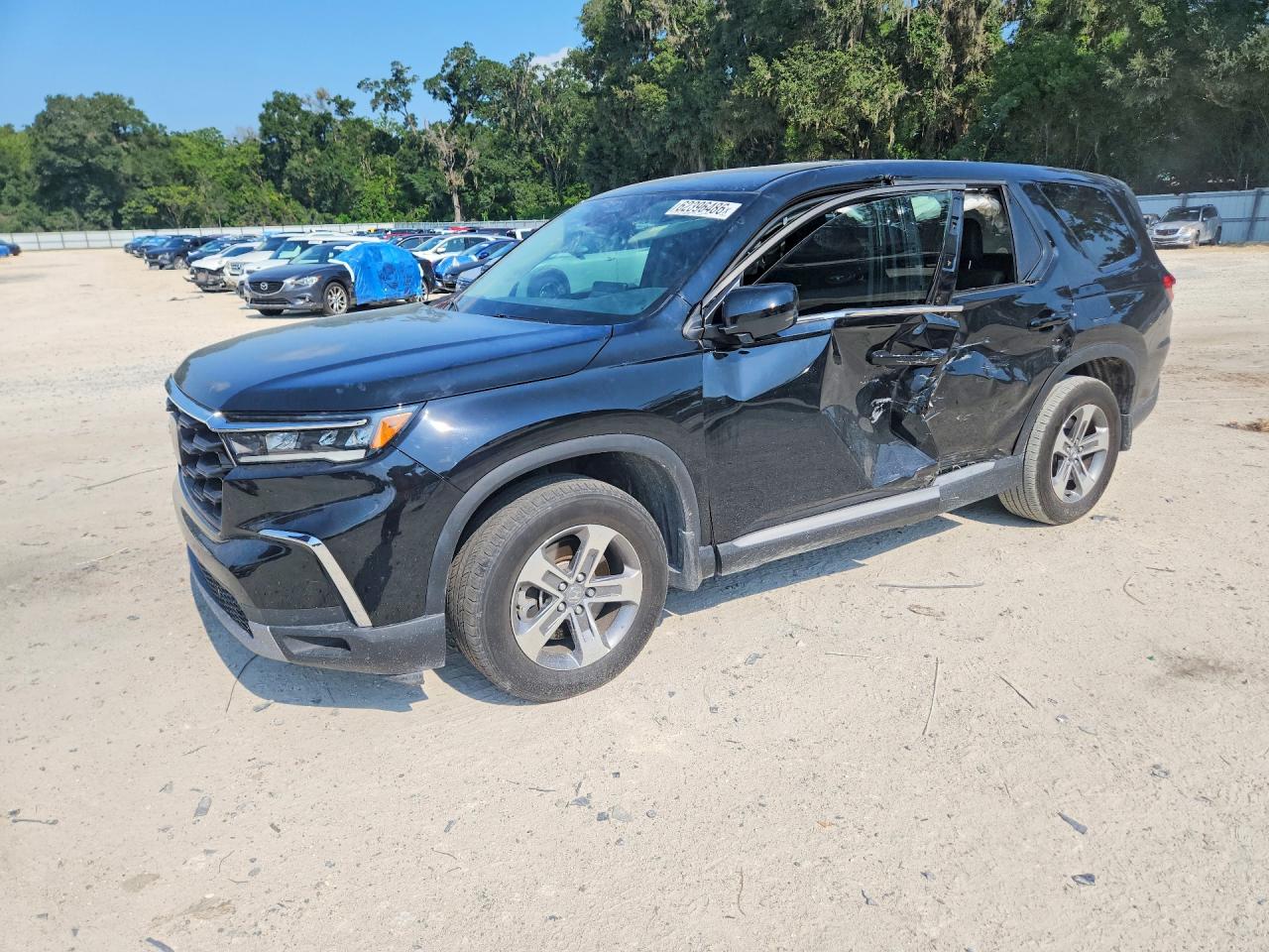 2024 HONDA PILOT EXL | 5FNYG2H40RB010544 | UPCARS