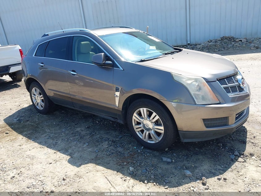 2011 CADILLAC SRX LUXURY COLLECTION | 3GYFNDEY6BS599915 | UPCARS