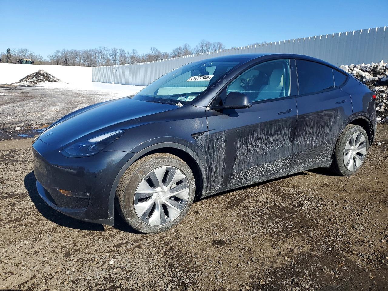 2024 TESLA MODEL Y | 7SAYGDEE0RF985587 | UPCARS