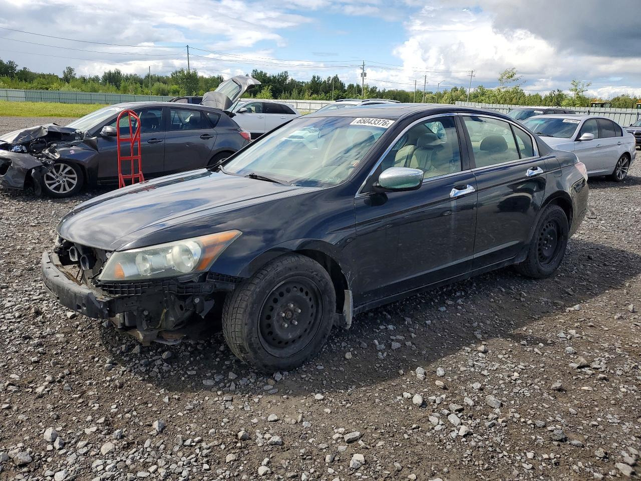 2010 HONDA ACCORD EXL | 1HGCP2F8XAA805695 | UPCARS