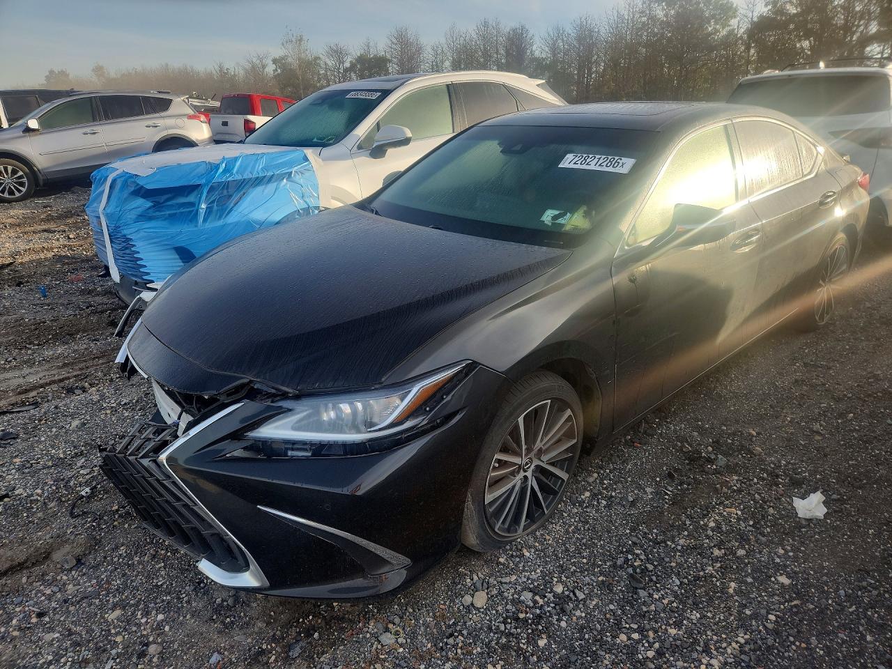 2023 LEXUS ES BASE | 58ADZ1B16PU157915 | UPCARS