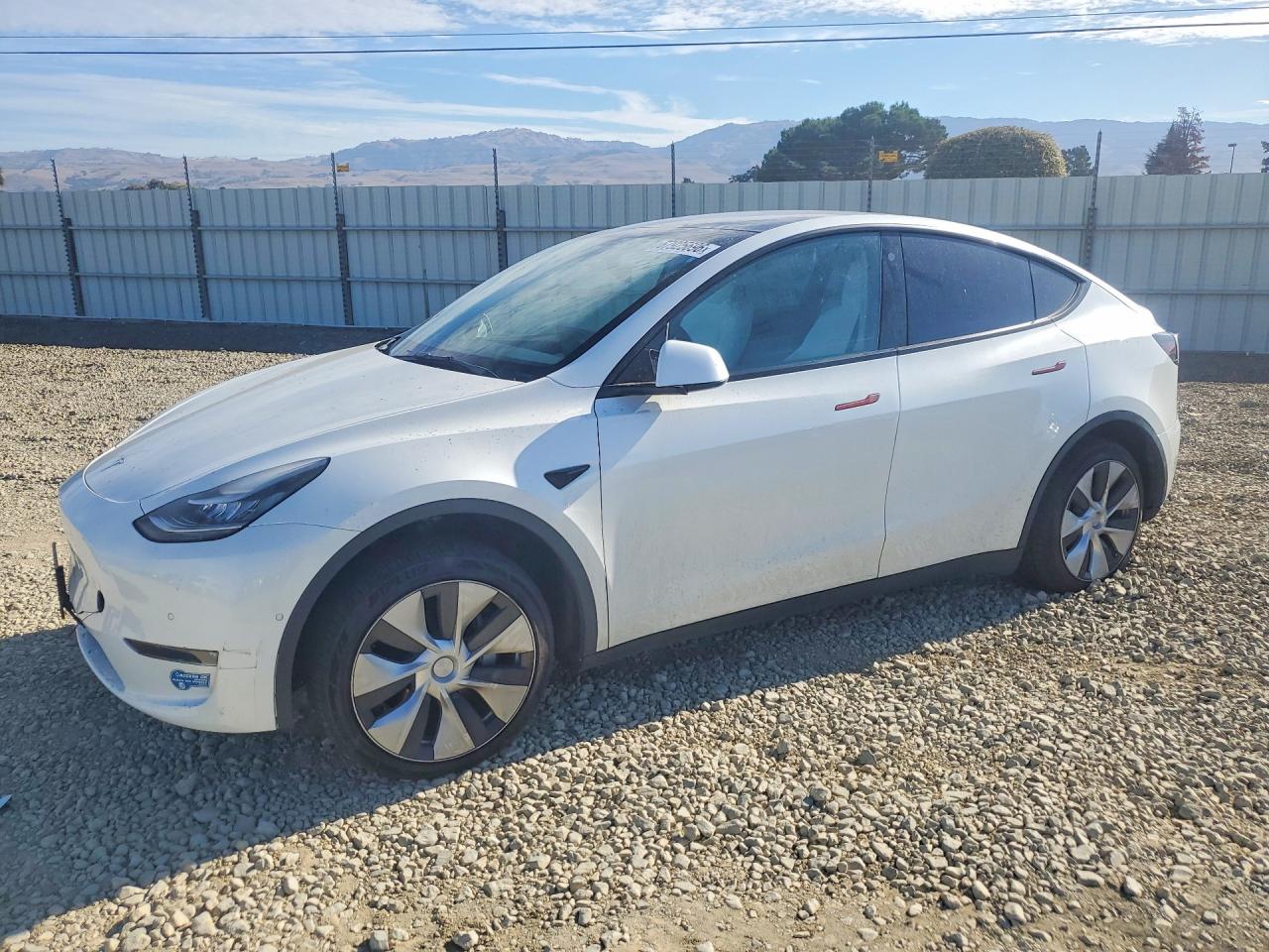 2021 TESLA MODEL Y | 5YJYGAEE1MF212261 | UPCARS