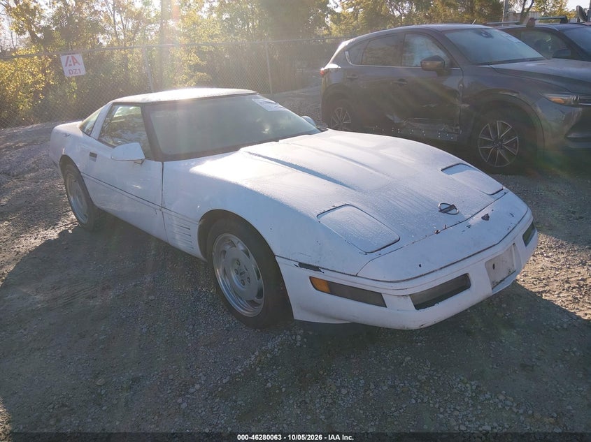 1991 CHEVROLET CORVETTE | 1G1YY2382M5102104 | UPCARS