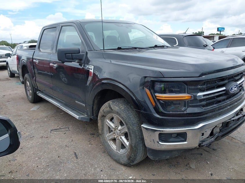 2024 FORD F-150 XLT | 1FTFW3LD2RFA06272 | UPCARS