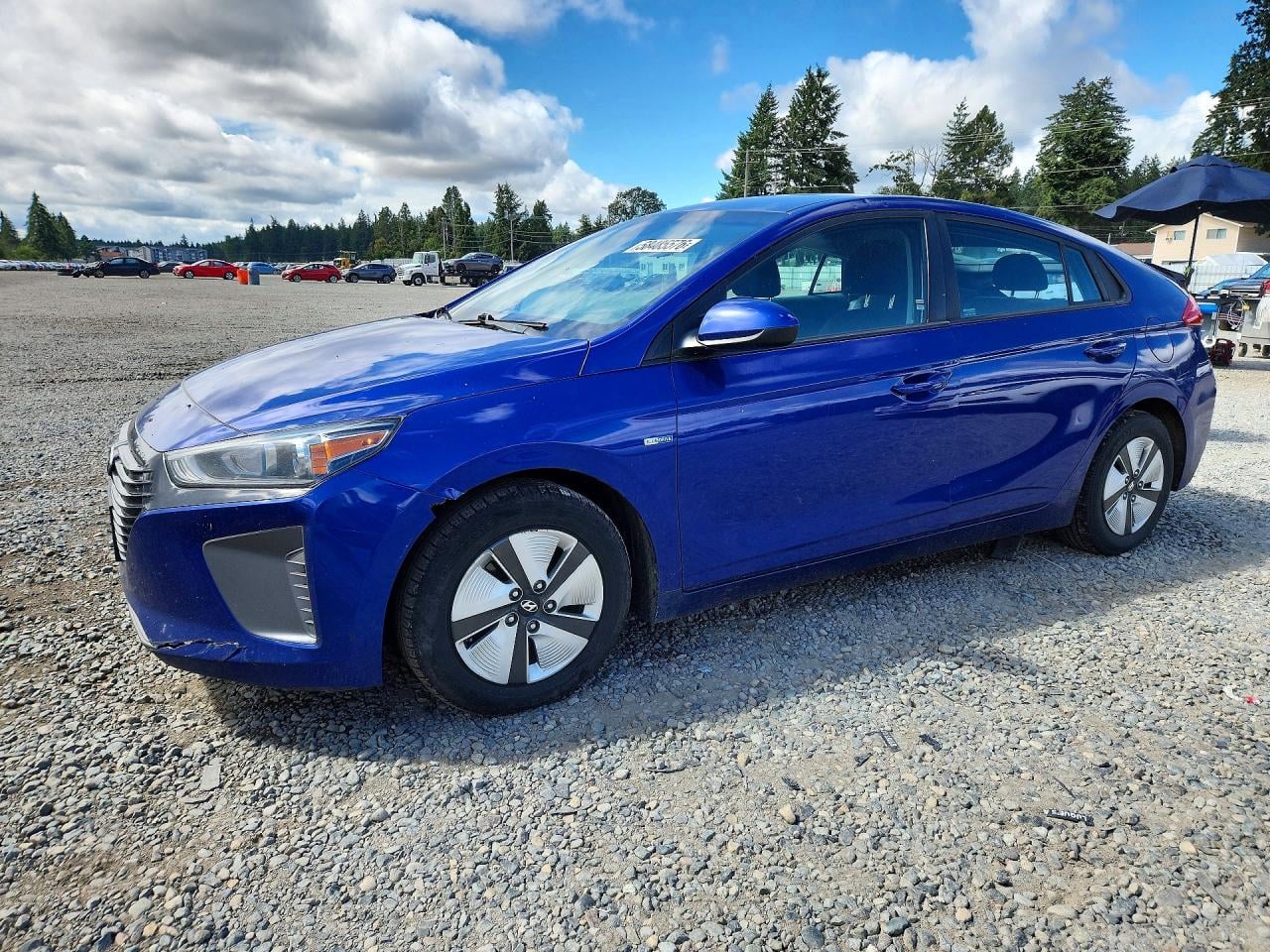 2019 HYUNDAI IONIQ BLUE | KMHC65LCXKU113881 | UPCARS