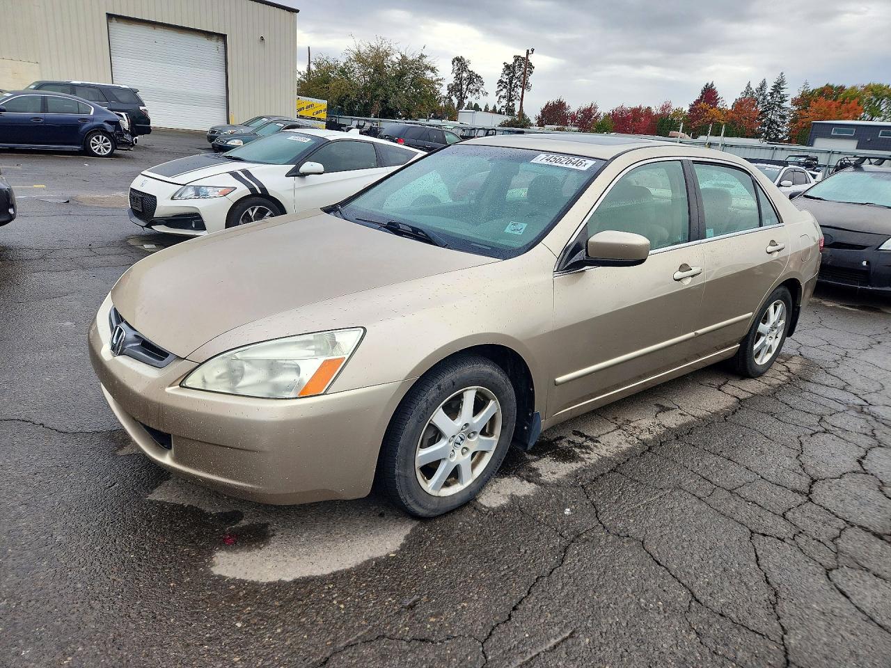 2005 HONDA ACCORD EX | 1HGCM66525A061313 | UPCARS