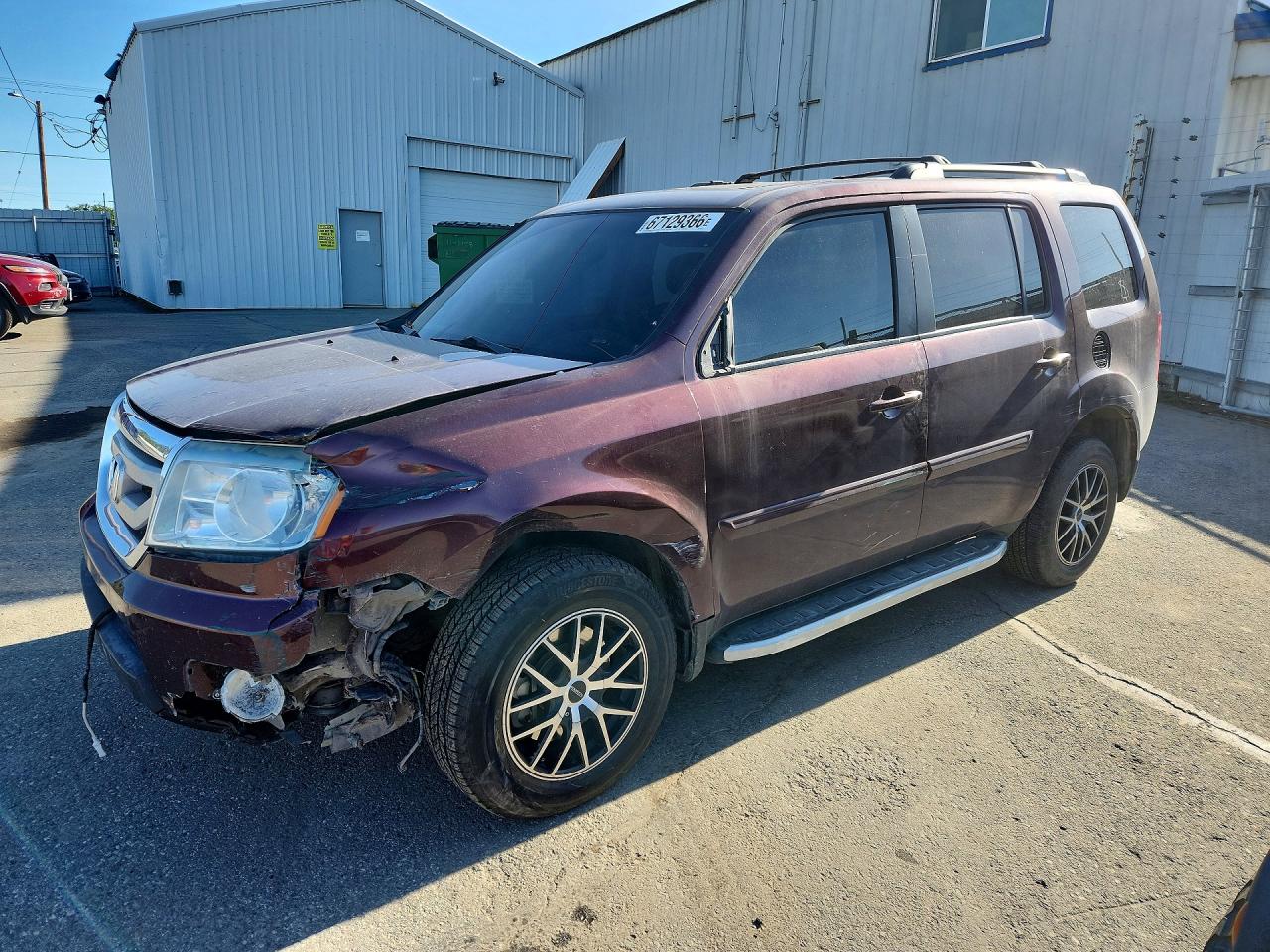 2011 HONDA PILOT EXL | 5FNYF4H53BB050114 | UPCARS