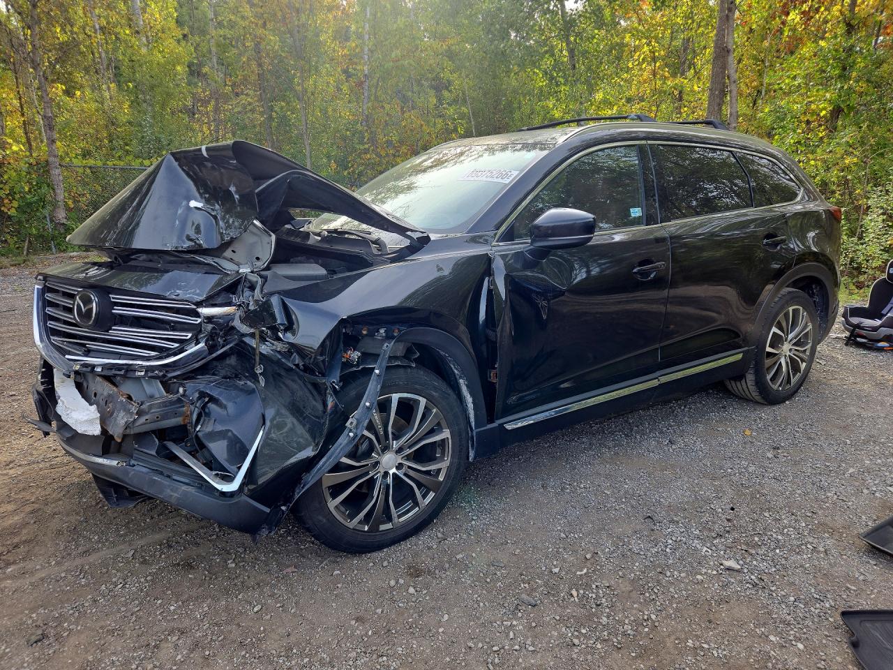 2017 MAZDA CX-9 SIGNATURE | JM3TCBEY7H0141309 | UPCARS