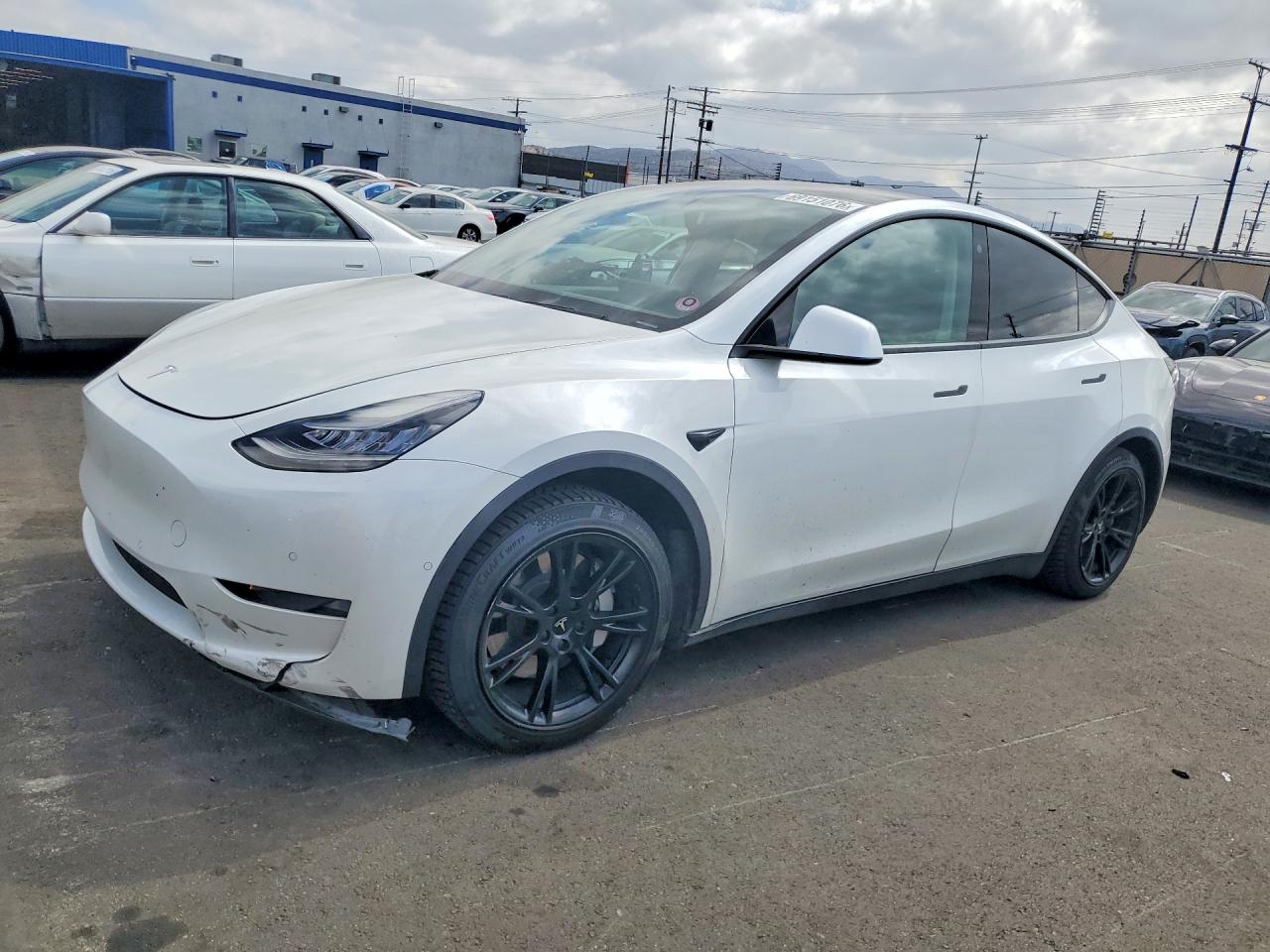 2021 TESLA MODEL Y | 5YJYGDEE8MF077829 | UPCARS