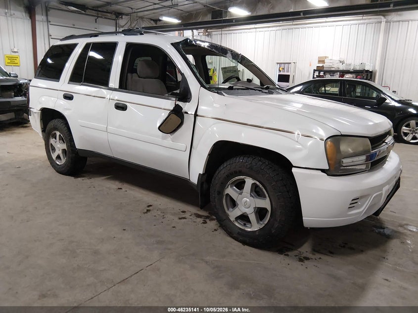 2006 CHEVROLET TRAILBLAZER LS | 1GNDT13S262224600 | UPCARS