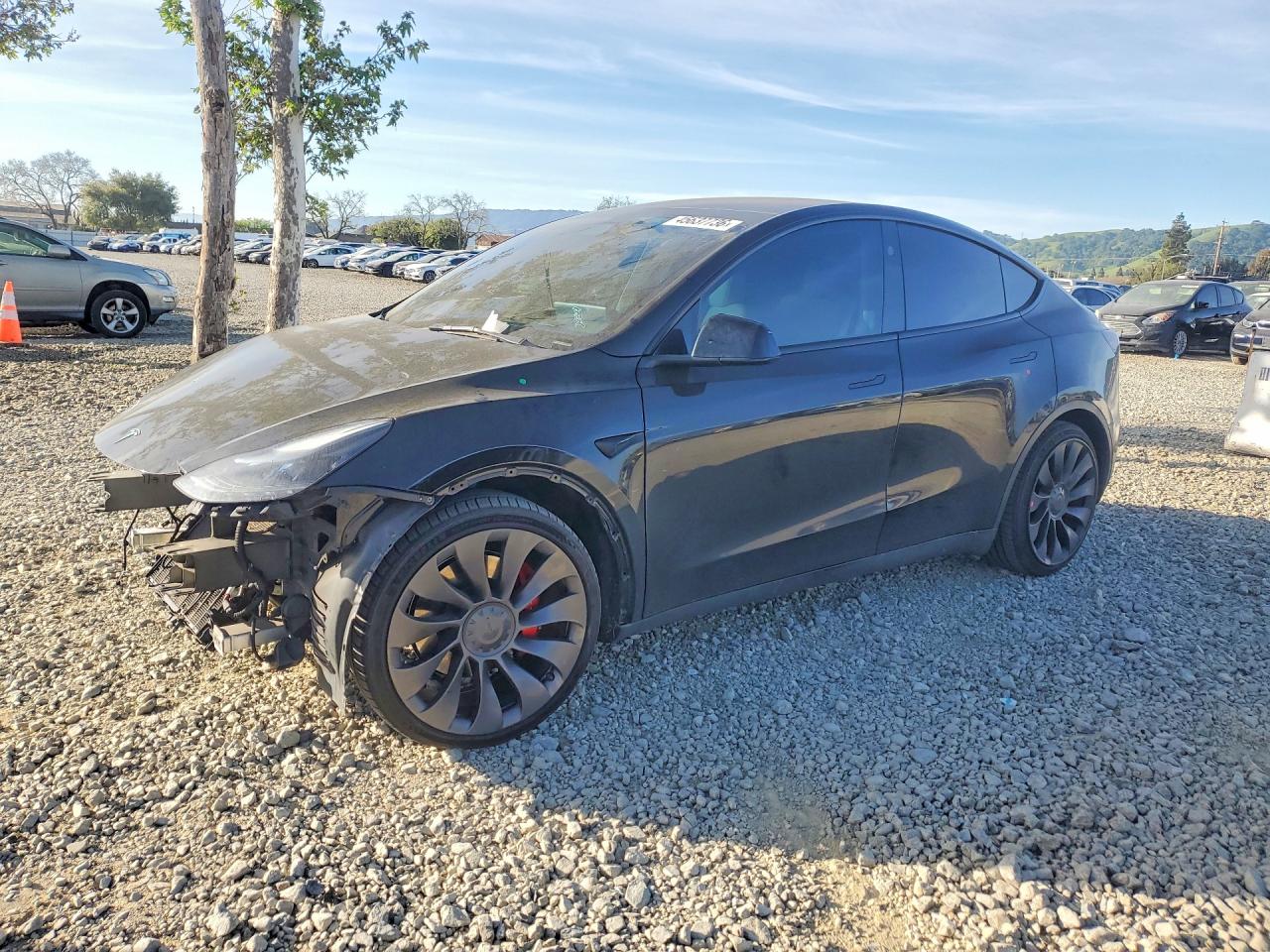 2023 TESLA MODEL Y | 7SAYGDEF4PF874675 | UPCARS