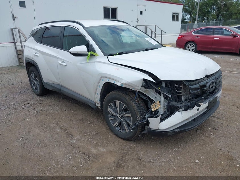2024 HYUNDAI TUCSON HYBRID BLUE | KM8JBCD15RU198157 | UPCARS
