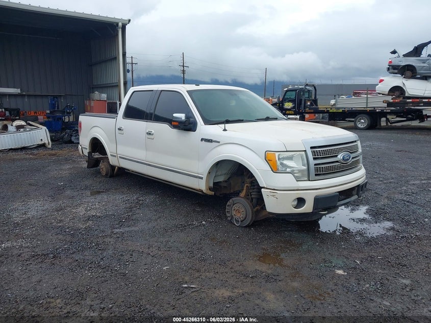 2011 FORD F-150 PLATINUM | 1FTFW1ET7BFA67339 | UPCARS