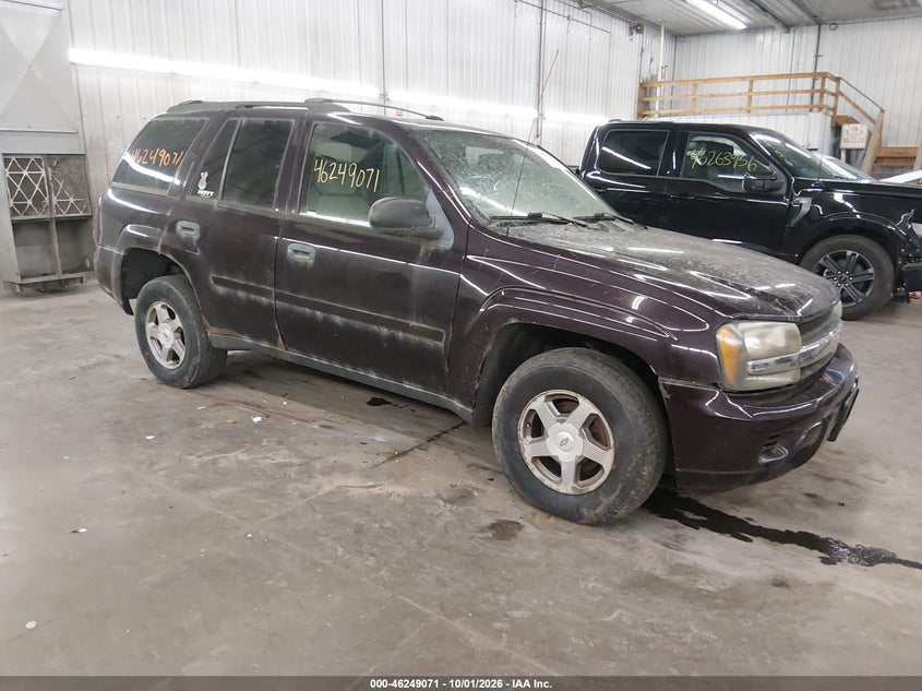 2008 CHEVROLET TRAILBLAZER FLEET | 1GNDT13S882174594 | UPCARS