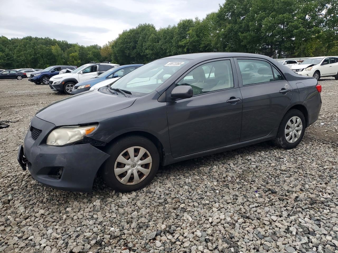 2009 TOYOTA COROLLA LE | 1NXBU40E79Z144811 | UPCARS