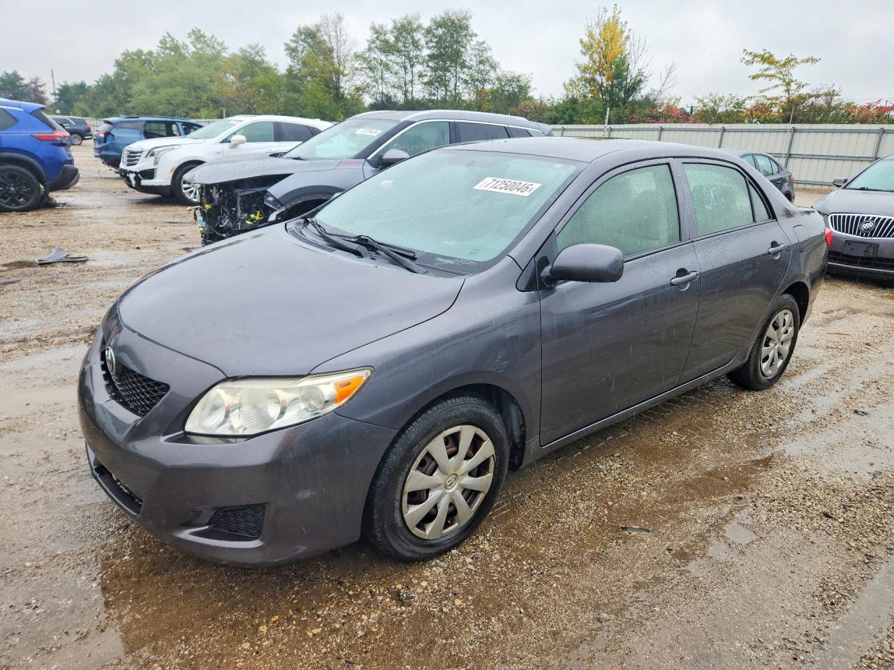 2010 TOYOTA COROLLA LE | JTDBU4EE8AJ060113 | UPCARS