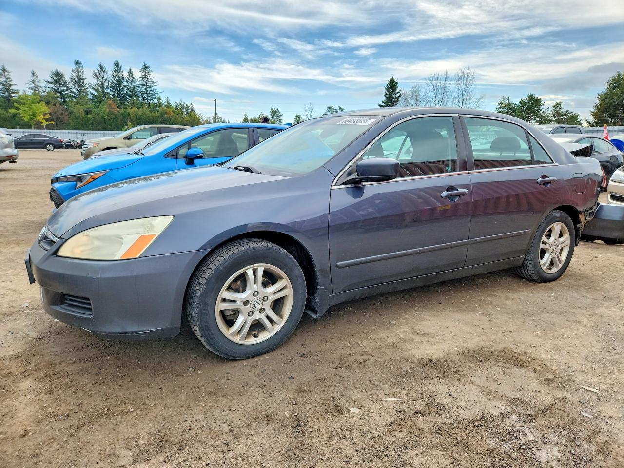 2006 HONDA ACCORD SE | 1HGCM56316A801332 | UPCARS
