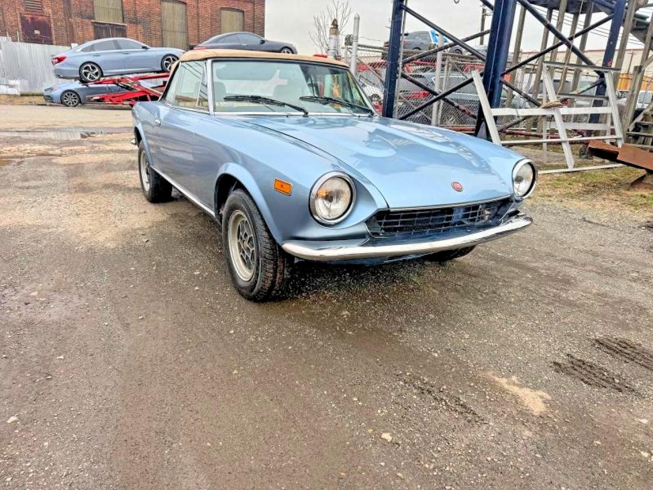 1980 FIAT SPIDER | 00178609 | UPCARS