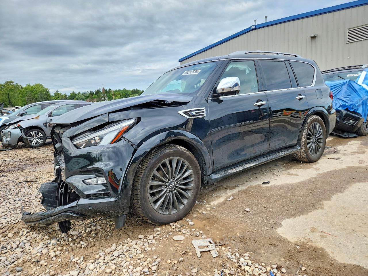 2024 INFINITI QX80 SENSORY | JN8AZ2BE5R9326288 | UPCARS