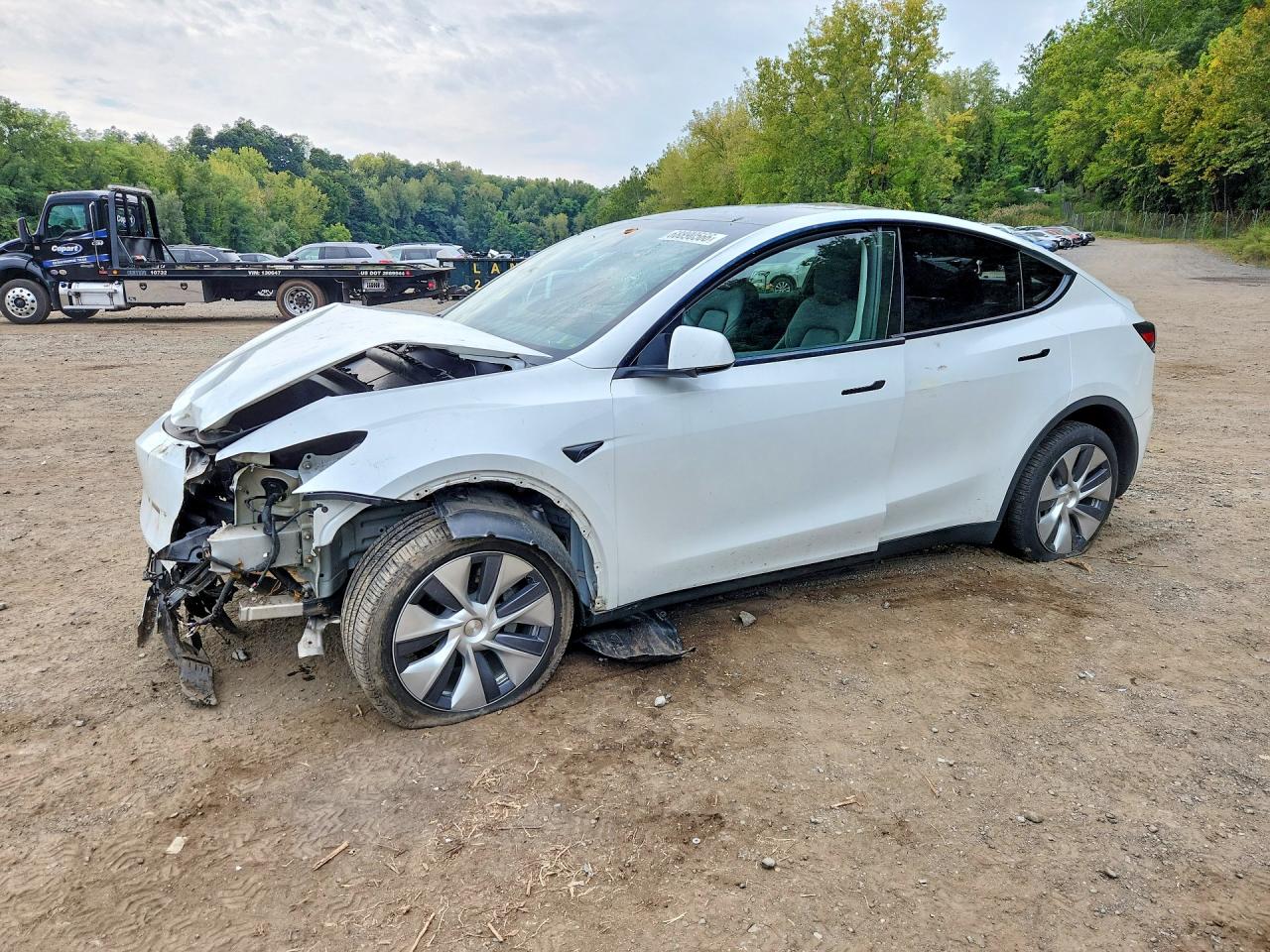 2024 TESLA MODEL Y | 7SAYGDEE1RA259976 | UPCARS