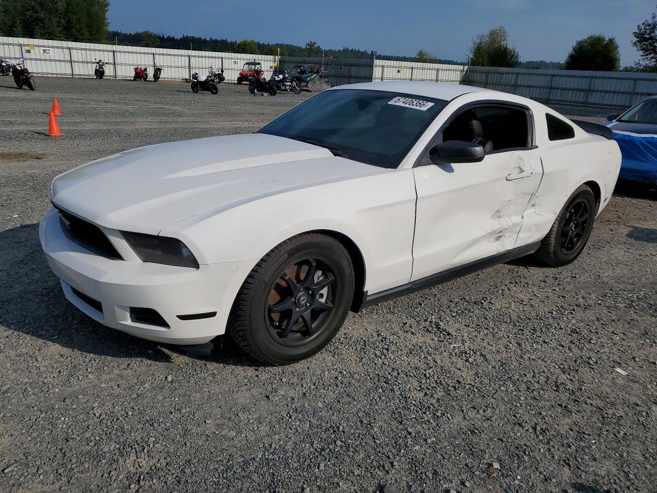 2011 FORD MUSTANG | 1ZVBP8AM1B5137293 | UPCARS