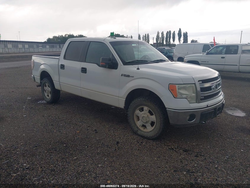2013 FORD F-150 XLT | 1FTFW1EFXDFA79773 | UPCARS