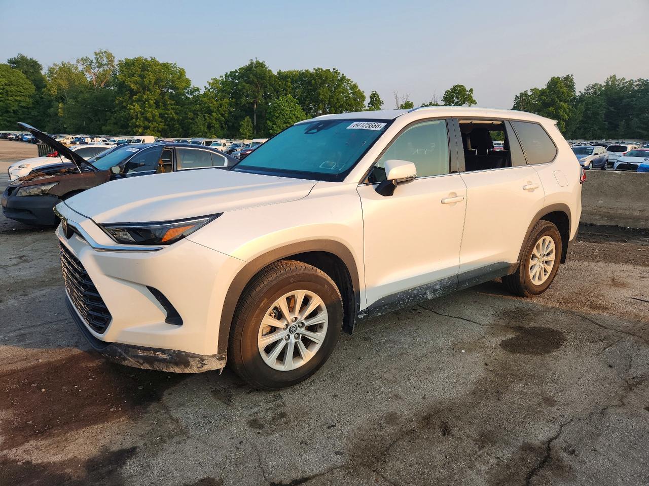 2024 TOYOTA ALL OTHER XLE | 5TDAAAB54RS060017 | UPCARS