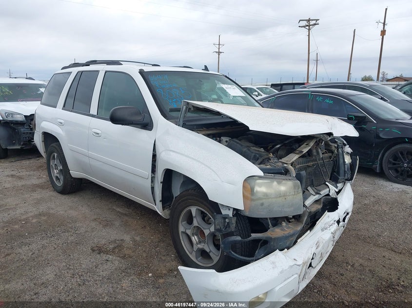 2006 CHEVROLET TRAILBLAZER LT | 1GNDS13S062148085 | UPCARS