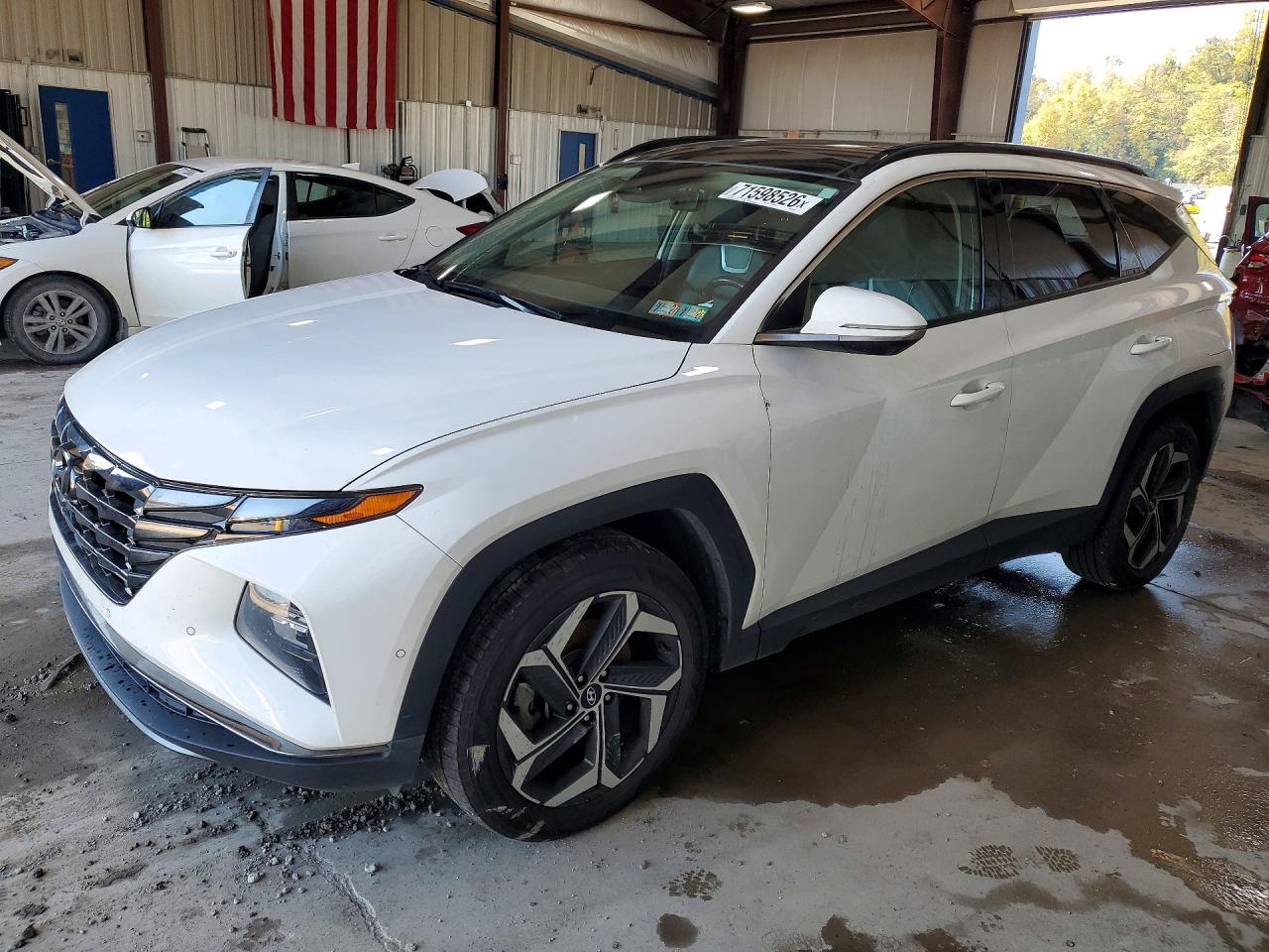 2024 HYUNDAI TUCSON LIMITED | 5NMJECDE1RH316856 | UPCARS