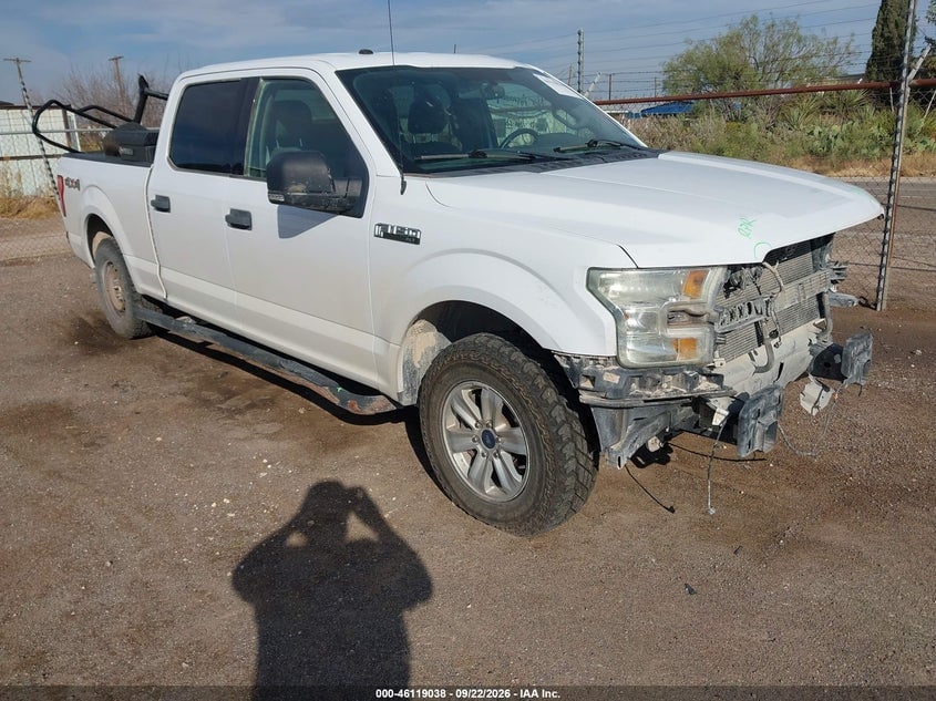 2016 FORD F-150 XLT | 1FTFW1EF4GKD60446 | UPCARS