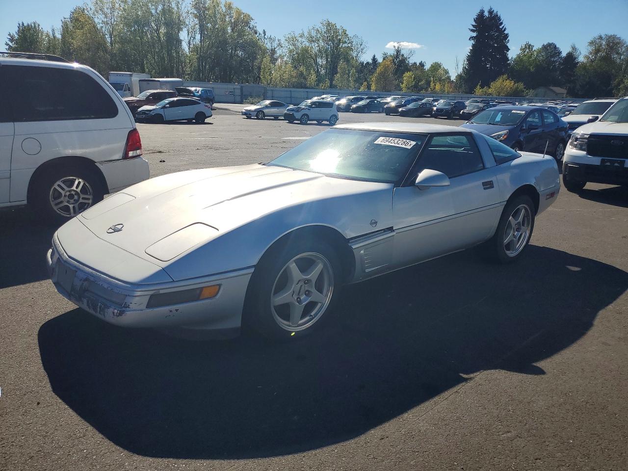 1996 CHEVROLET CORVETTE | 1G1YY22P2T5103146 | UPCARS