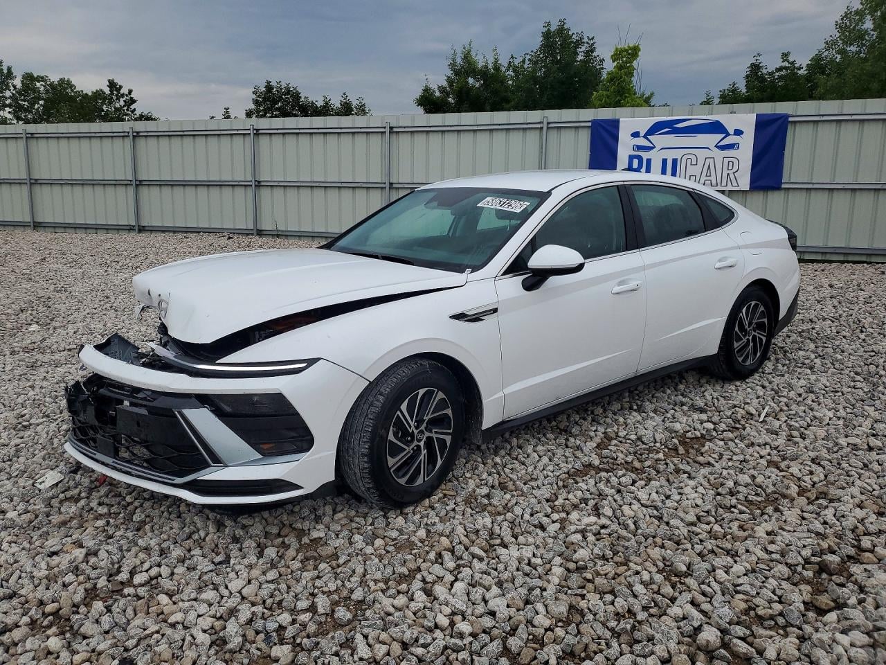 2026 HYUNDAI SONATA BLUE | KMHL24JJ1TA164258 | UPCARS