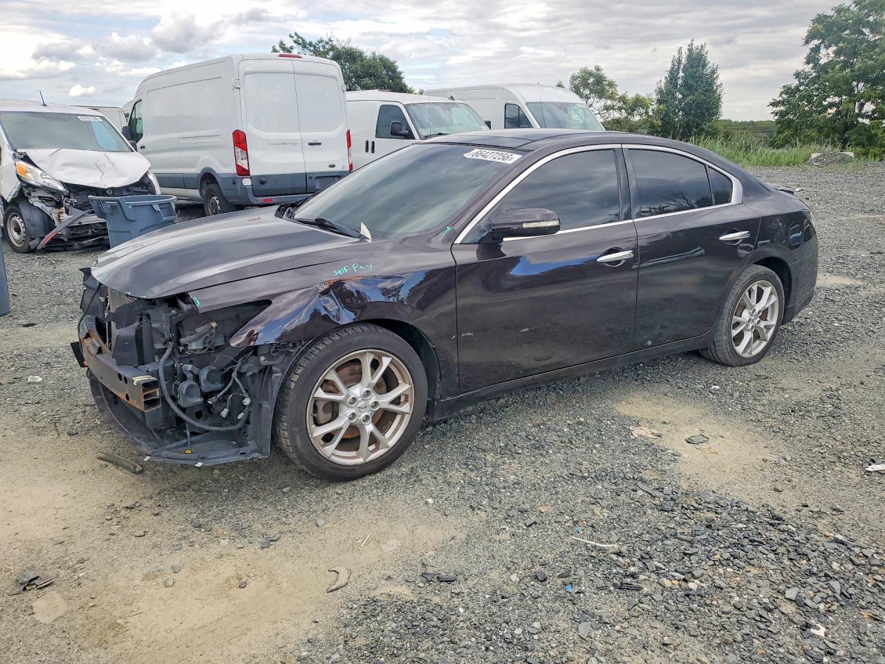 2014 NISSAN MAXIMA 3.5 SV | 1N4AA5AP5EC451365 | UPCARS
