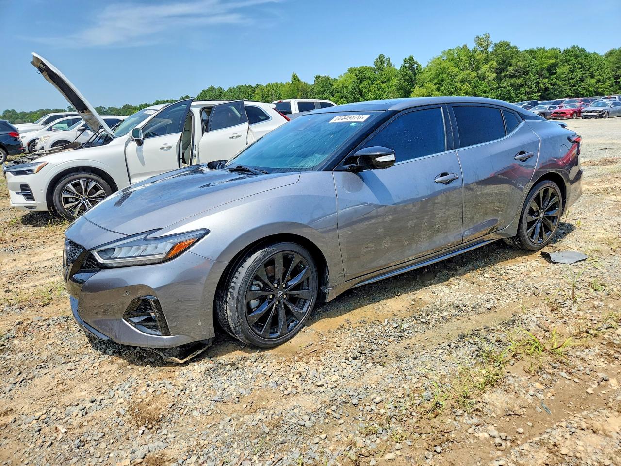 2023 NISSAN MAXIMA SR | 1N4AA6EV1PC509294 | UPCARS