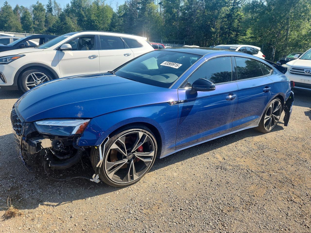 2025 AUDI S5/RS5 PRESTIGE | WAUB4CF51SA014727 | UPCARS