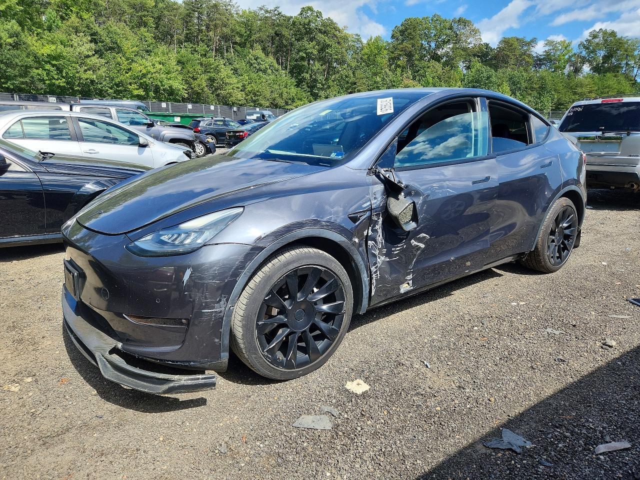 2021 TESLA MODEL Y | 5YJYGDED9MF134434 | UPCARS