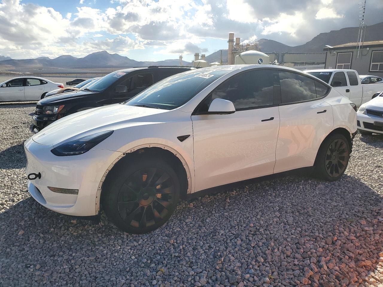 2023 TESLA MODEL Y | 7SAYGDEE7PF696395 | UPCARS