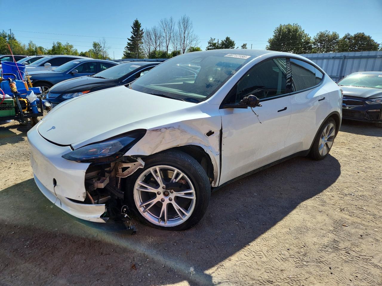 2024 TESLA MODEL Y | 7SAYGDEE8RF046185 | UPCARS