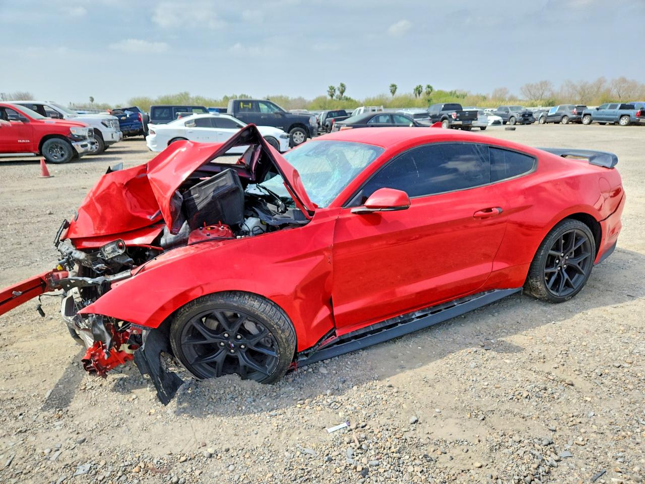 2021 FORD MUSTAN GT | 1FA6P8CFXM5150295 | UPCARS