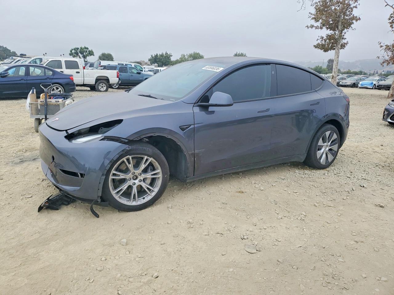 2023 TESLA MODEL Y | 7SAYGDEE6PF916285 | UPCARS