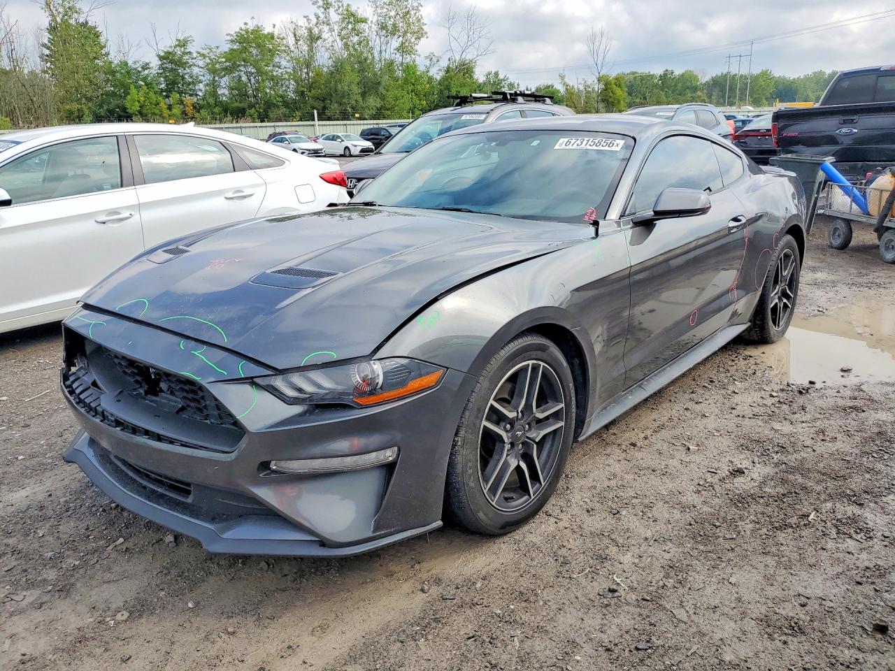 2019 FORD MUSTANG | 1FA6P8THXK5114640 | UPCARS
