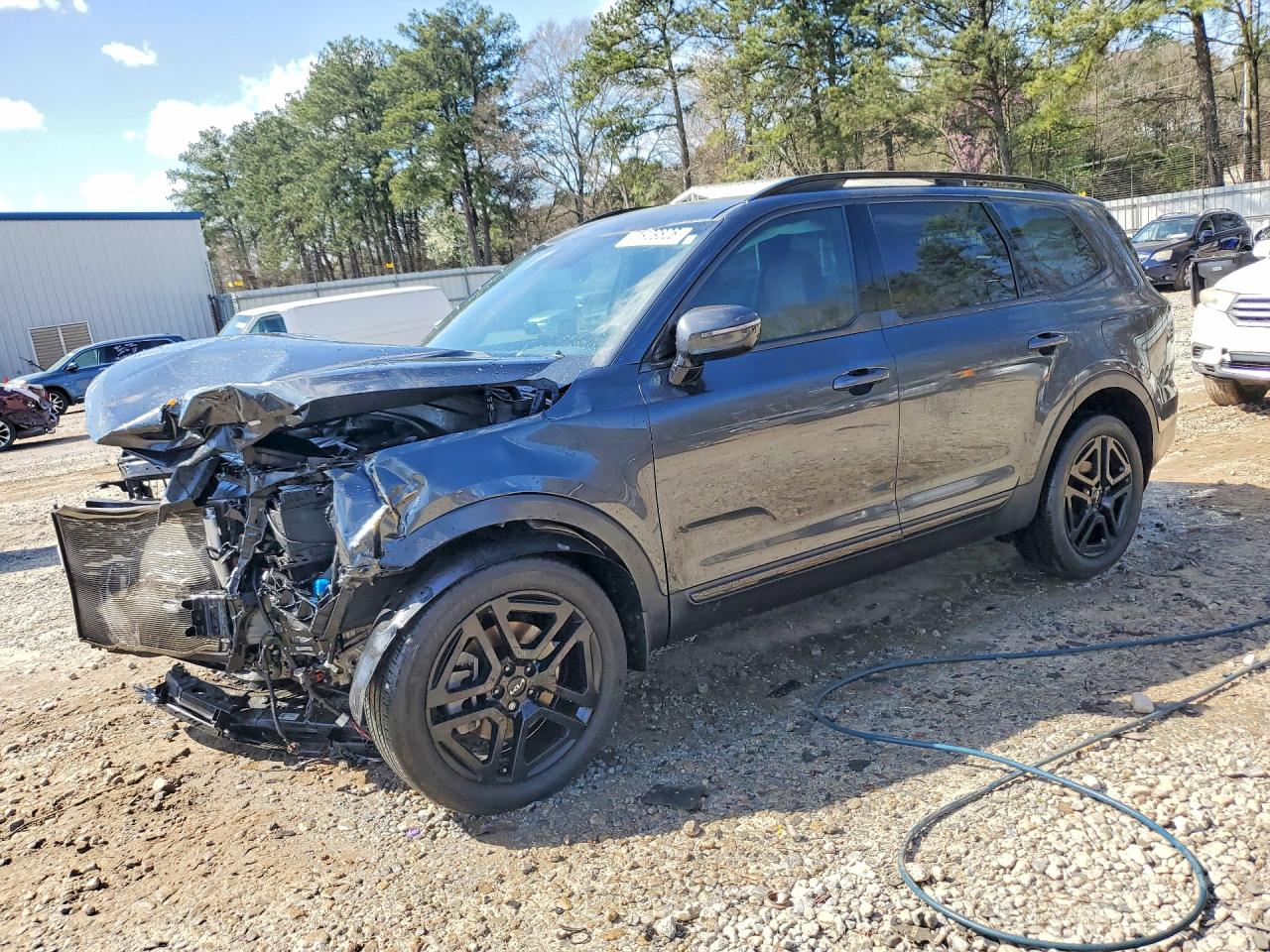 2024 KIA TELLURIDE SX X-LINE | 5XYP5DGC5RG499392 | UPCARS
