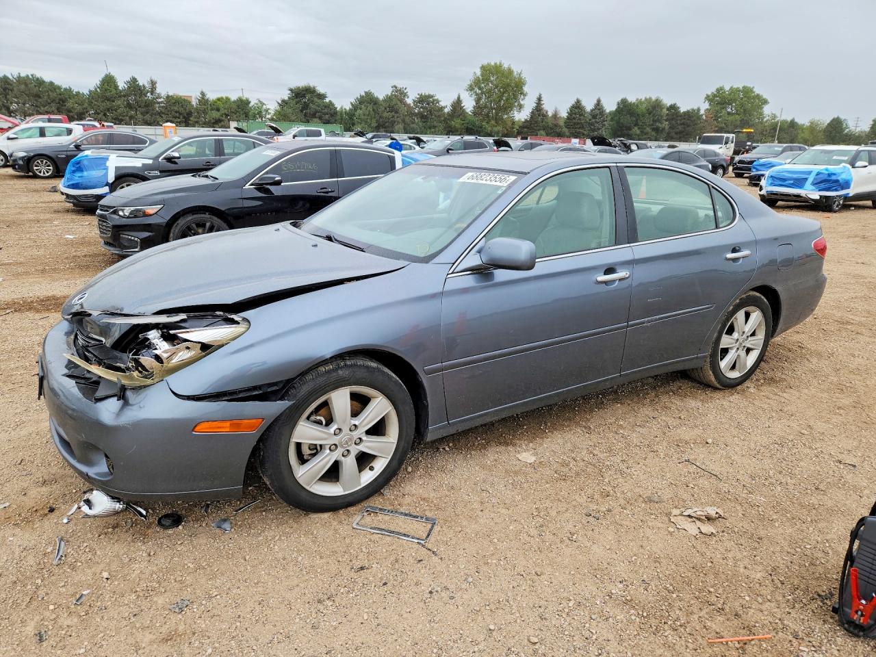2005 LEXUS ES 330 | JTHBA30G955122837 | UPCARS