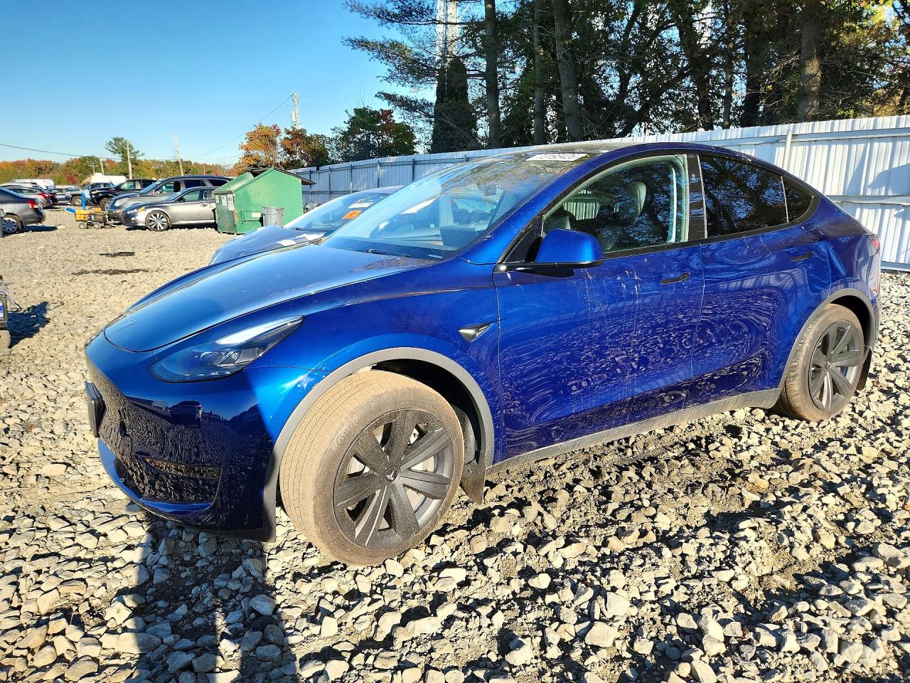 2024 TESLA MODEL Y | 7SAYGDED0RF095999 | UPCARS