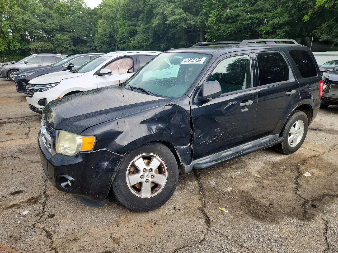 2011 FORD ESCAPE XLT | 1FMCU0D70BKA41546 | UPCARS