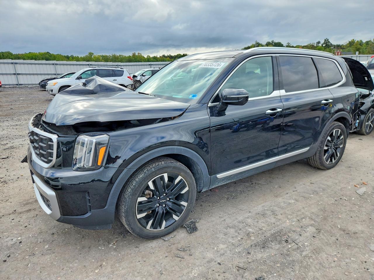 2023 KIA TELLURIDE SX-PRESTIGE | 5XYP5DGCXPG346164 | UPCARS