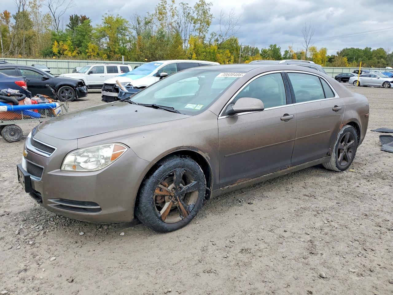 2011 CHEVROLET MALIBU 1LT | 1G1ZC5E18BF366908 | UPCARS